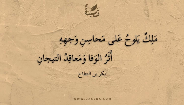 قصيدة ملك يلوح على محاسن وجهه