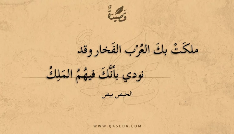 قصيدة ملكت بك العرب الفخار وقد