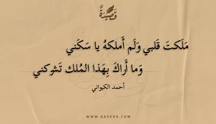قصيدة ملكت قلبي ولم أملكه يا سكني