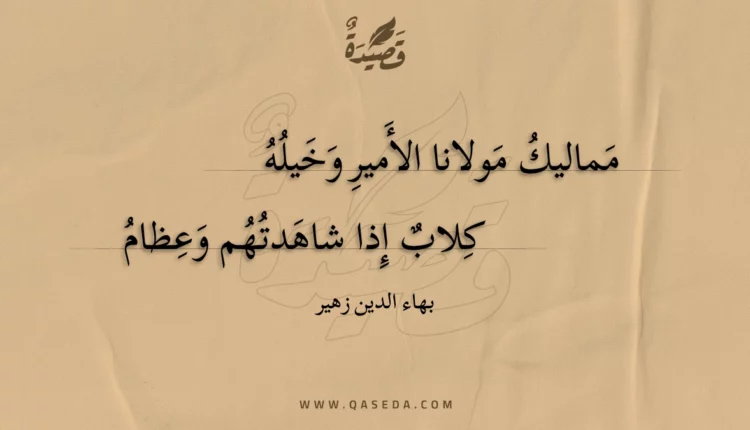قصيدة مماليك مولانا الأمير وخيله