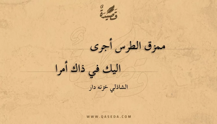 قصيدة ممزق الطرس أجرى