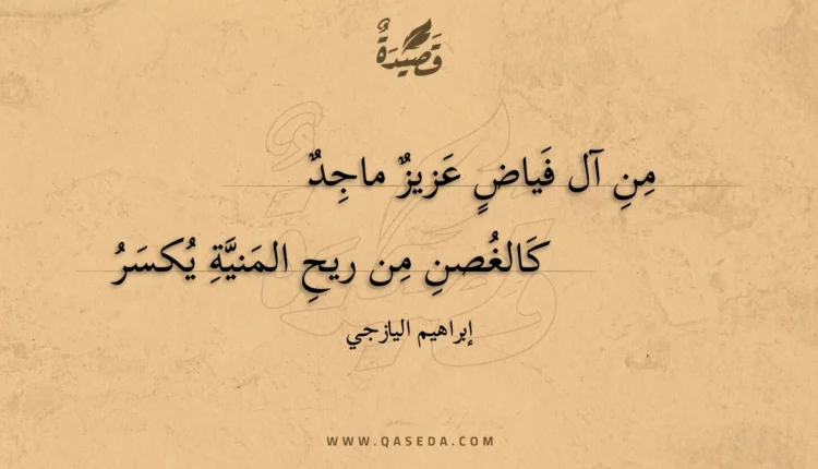 قصيدة من آل فياض عزيز ماجد