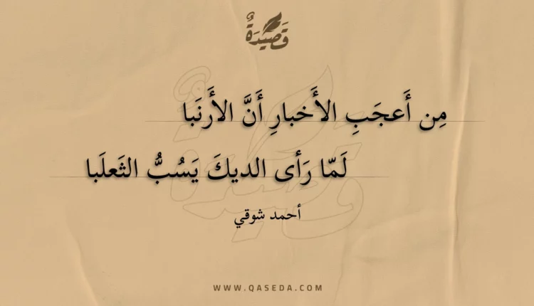 قصيدة من أعجب الأخبار أن الأرنبا