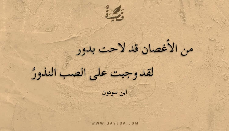 قصيدة من الأغصان قد لاحت بدور