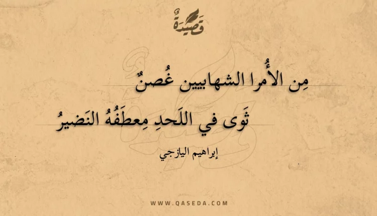 قصيدة من الأمرا الشهابيين غصن