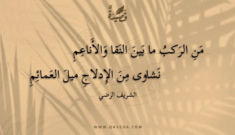 قصيدة من الركب ما بين النقا والأناعم