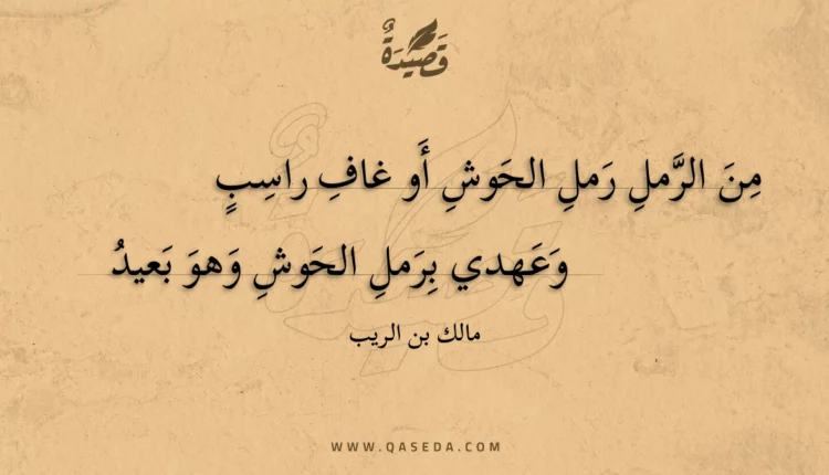 قصيدة من الرمل رمل الحوش أو غاف راسب