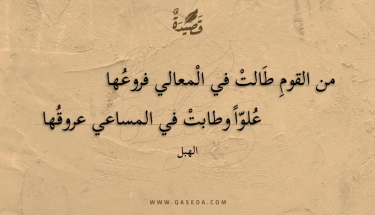 قصيدة من القوم طالت في المعالي فروعها