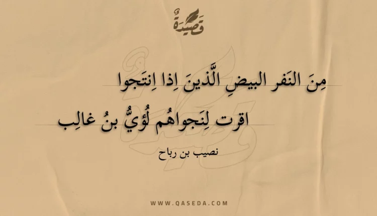 قصيدة من النفر البيض الذين اذا انتجوا