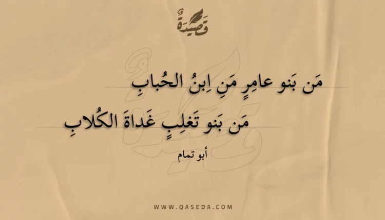 قصيدة من بنو عامر من ابن الحباب
