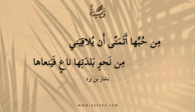 قصيدة من حبها أتمنى أن يلاقيني