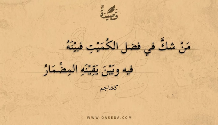 قصيدة من شك في فضل الكميت فبينه