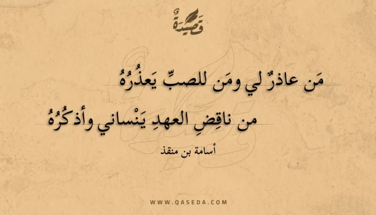 قصيدة من عاذر لي ومن للصب يعذره
