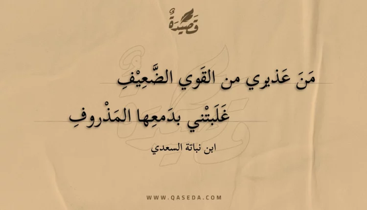 قصيدة من عذيري من القوي الضعيف