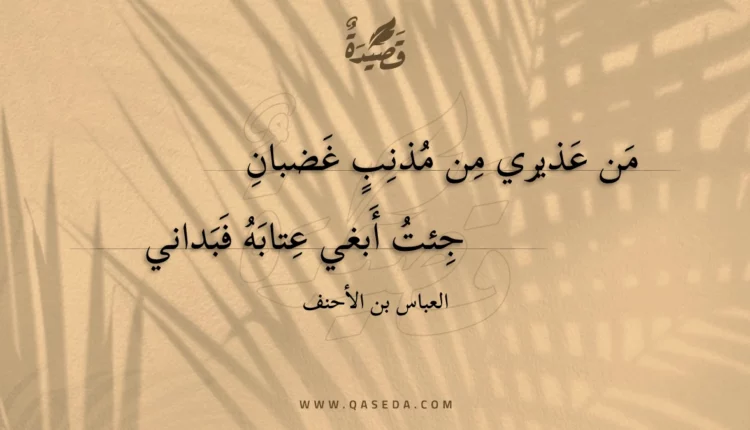 قصيدة من عذيري من مذنب غضبان