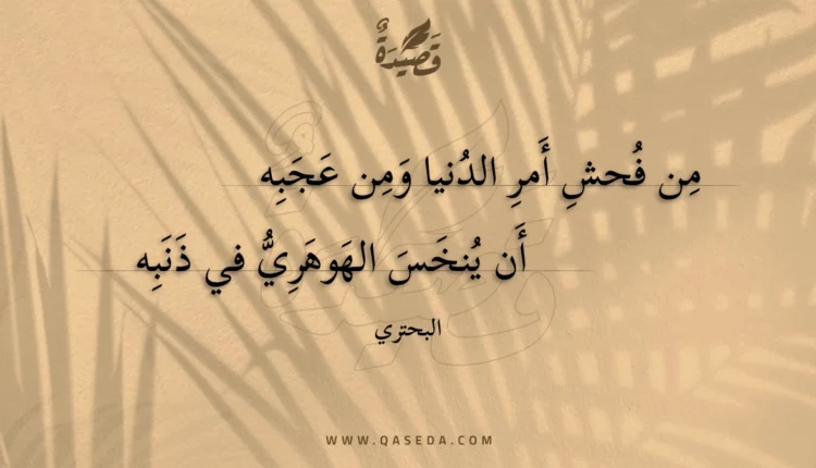 قصيدة من فحش أمر الدنيا ومن عجبه