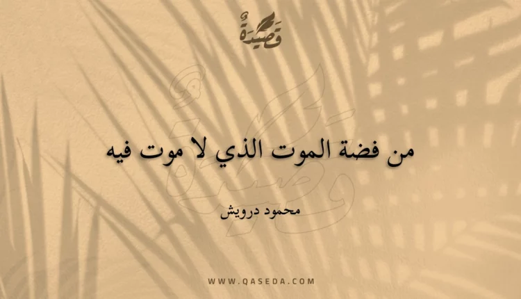 قصيدة من فضة الموت الذي لا موت فيه