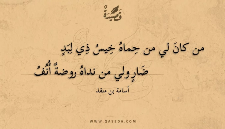 قصيدة من كان لي من حماه خيس ذي لبد
