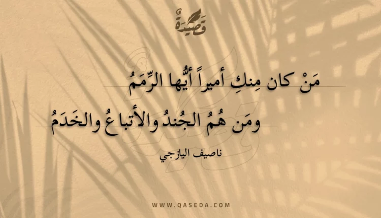 قصيدة من كان منك أميرا أيها الرمم