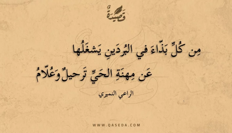 قصيدة من كل بذاء في البردين يشغلها