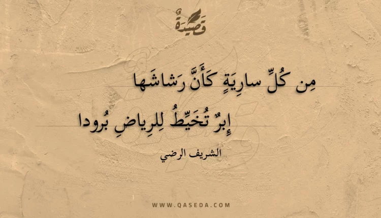 قصيدة من كل سارية كأن رشاشها