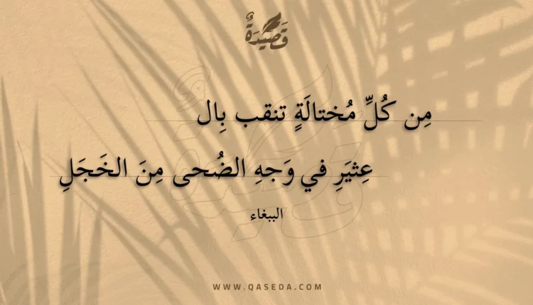 قصيدة من كل مختالة تنقب بالعثير