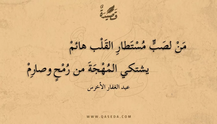 قصيدة من لصب مستطار القلب هائم