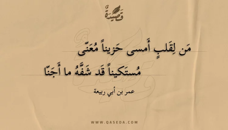 قصيدة من لقلب أمسى حزينا معنى