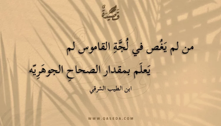 قصيدة من لم يغص في لجة القاموس لم
