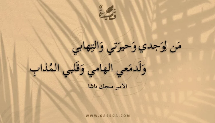 قصيدة من لوجدي وحيرتي والتهابي