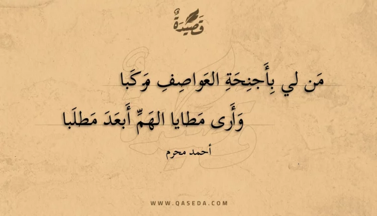 قصيدة من لي بأجنحة العواصف مركبا