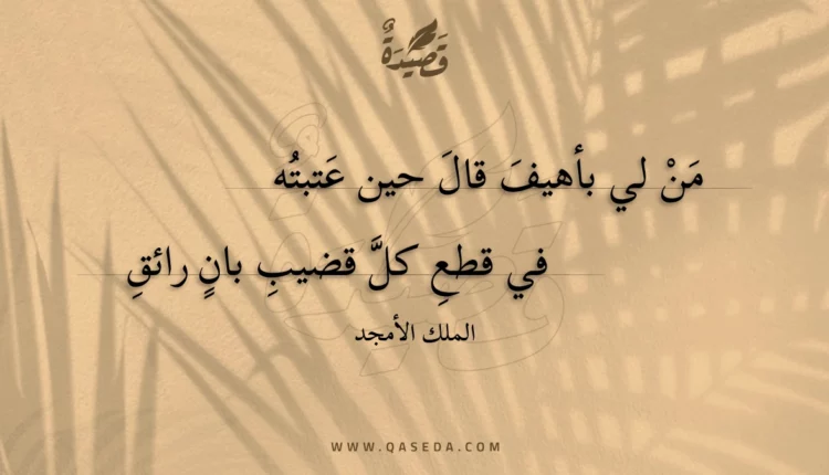 قصيدة من لي بأهيف قال حين عتبته