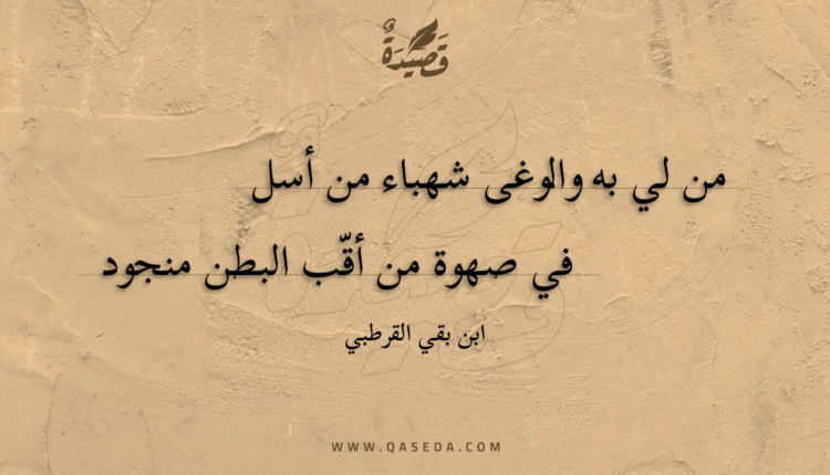 قصيدة من لي به والوغى شهباء من أسل
