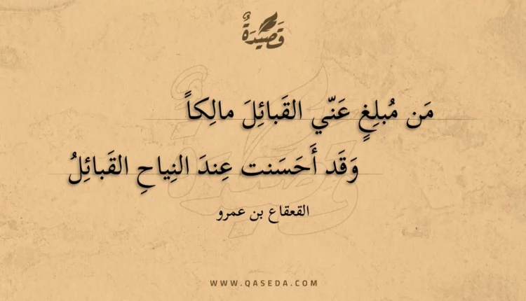 قصيدة من مبلغ عني القبائل مالكاً