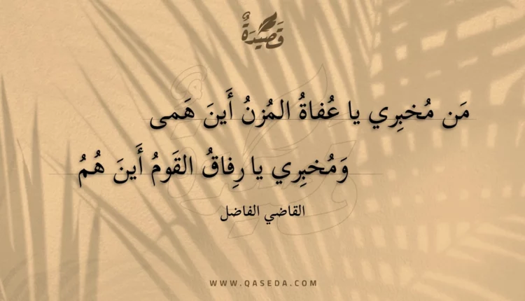 قصيدة من مخبري يا عفاة المزن أين همى