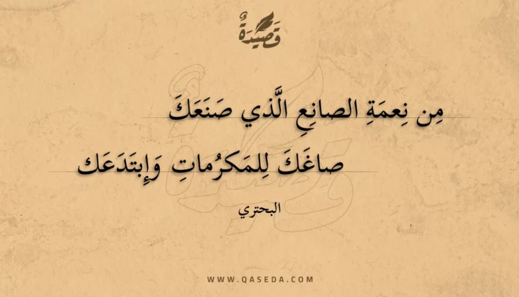 قصيدة من نعمة الصانع الذي صنعك