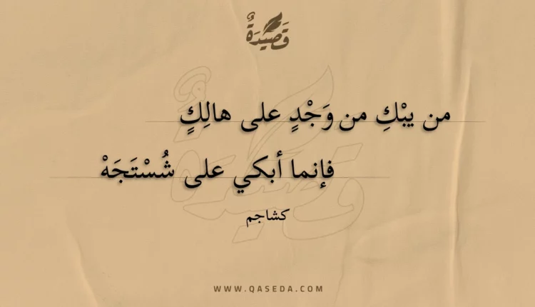 قصيدة من يبك من وجد على هالك