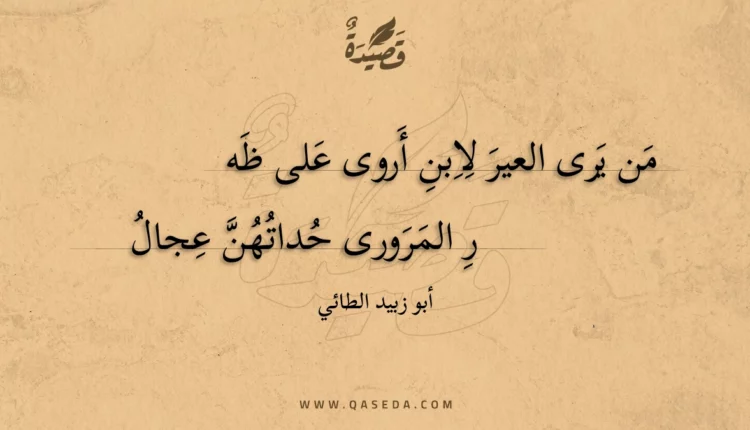 قصيدة من يرى العير لابن أروى على ظهر