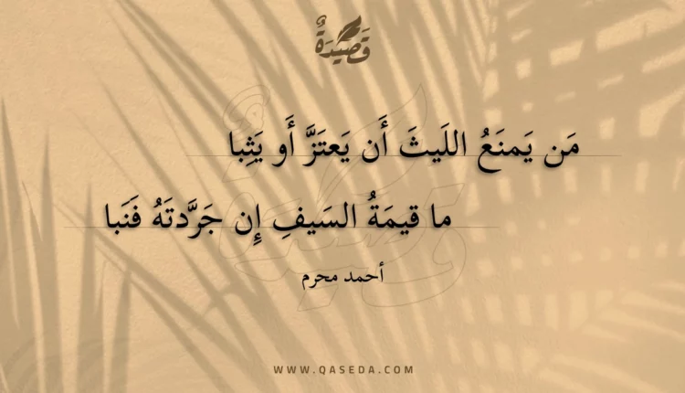 قصيدة من يمنع الليث أن يعتز أو يثبا
