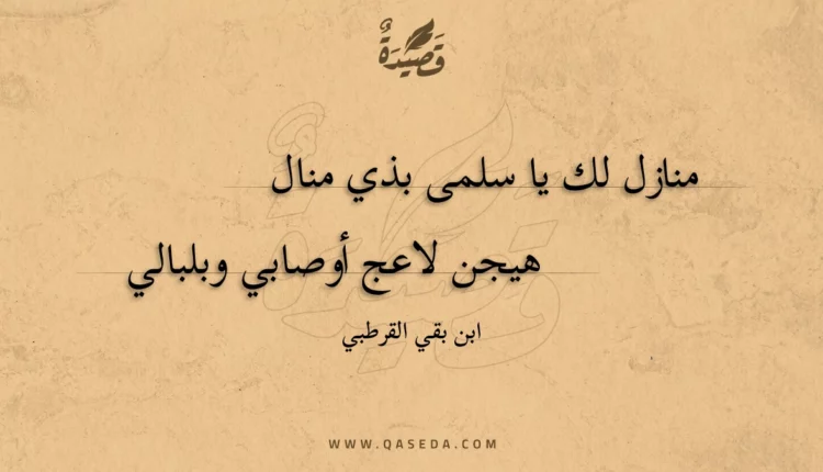 قصيدة منازل لك يا سلمى بذي منال