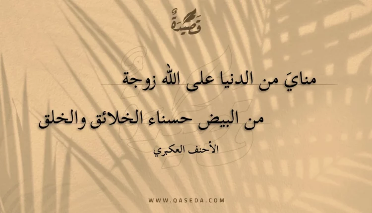قصيدة مناي من الدنيا على الله زوجة