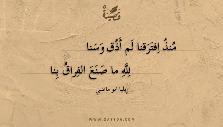 قصيدة منذ افترقنا لم أذق وسنا