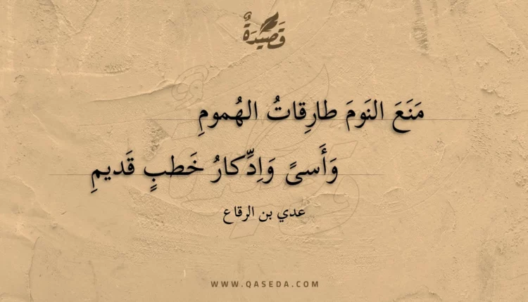 قصيدة منع النوم طارقات الهموم