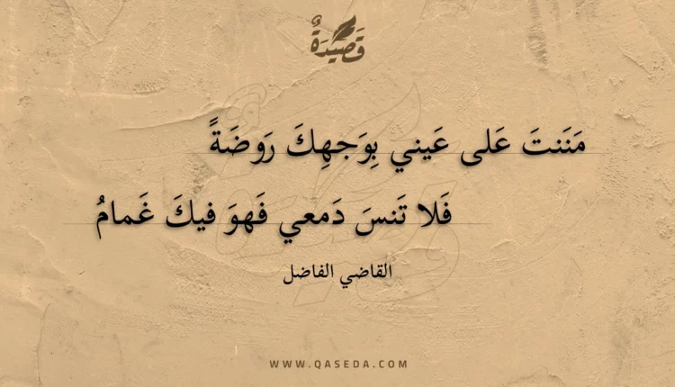 قصيدة مننت على عيني بوجهك روضة