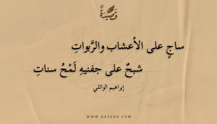 قصيدة مهد الصبا