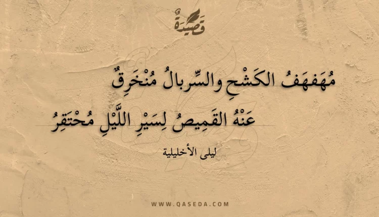 قصيدة مهفهف الكشح والسربال منخرق