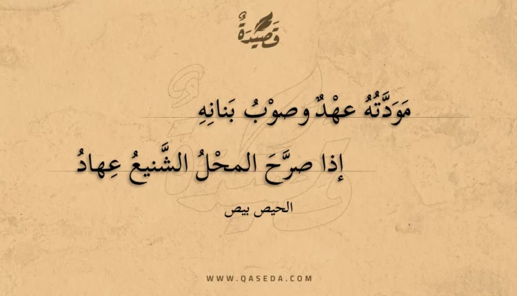 قصيدة مودته عهد وصوب بنانه