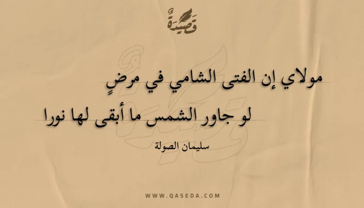 قصيدة مولاي إن الفتى الشامي في مرض