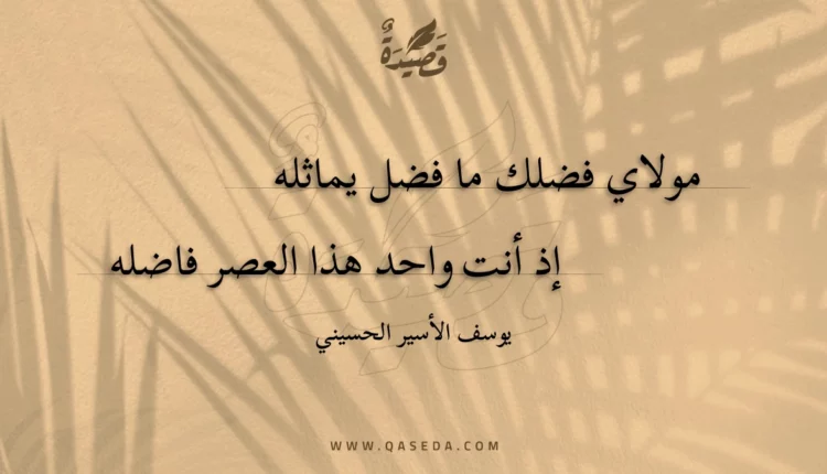 قصيدة مولاي فضلك ما فضل يماثله