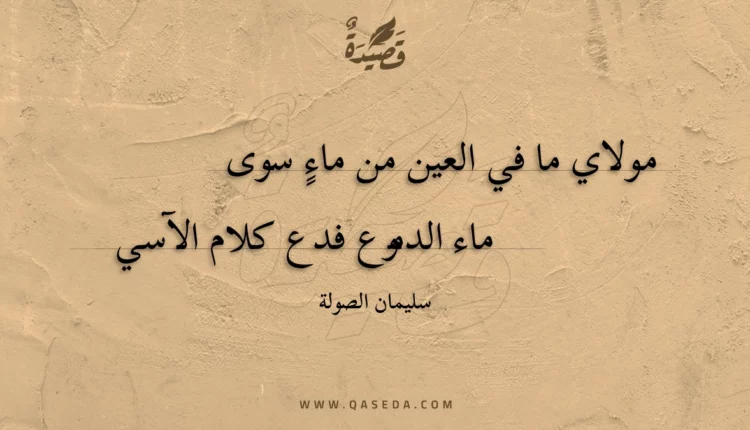 قصيدة مولاي ما في العين من ماء سوى